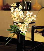  Kocaeli yurtii ve yurtd iek siparii  cam yada mika vazo ierisinde dal orkide