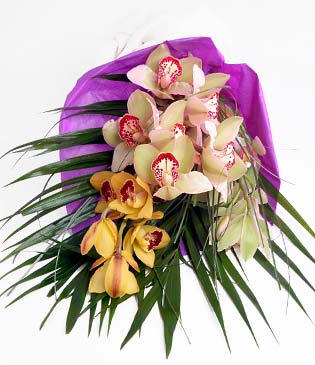  zmit Kocaeli iek yolla  1 adet dal orkide buket halinde sunulmakta